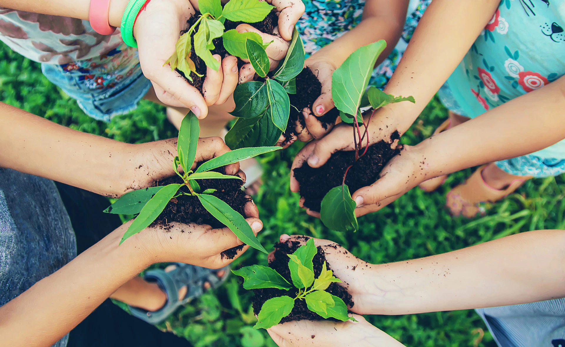 imagen que representa a una empresa